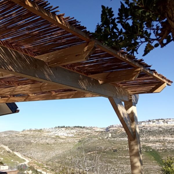 פרגולה עץ עם במבוק בנילי